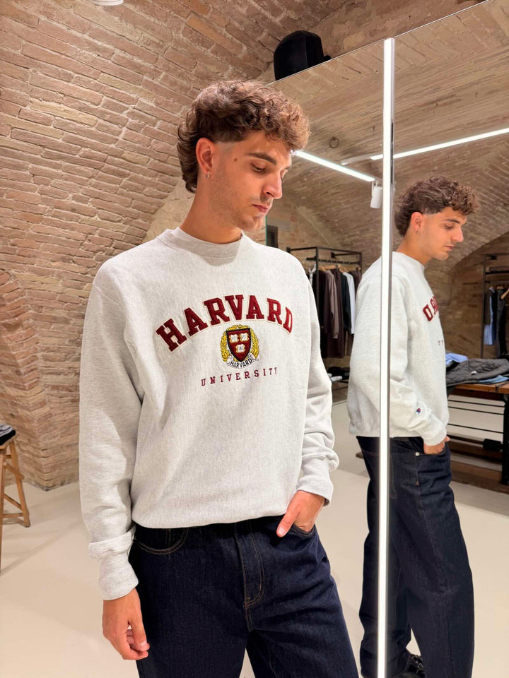 Felpa Harvard grigio melange 