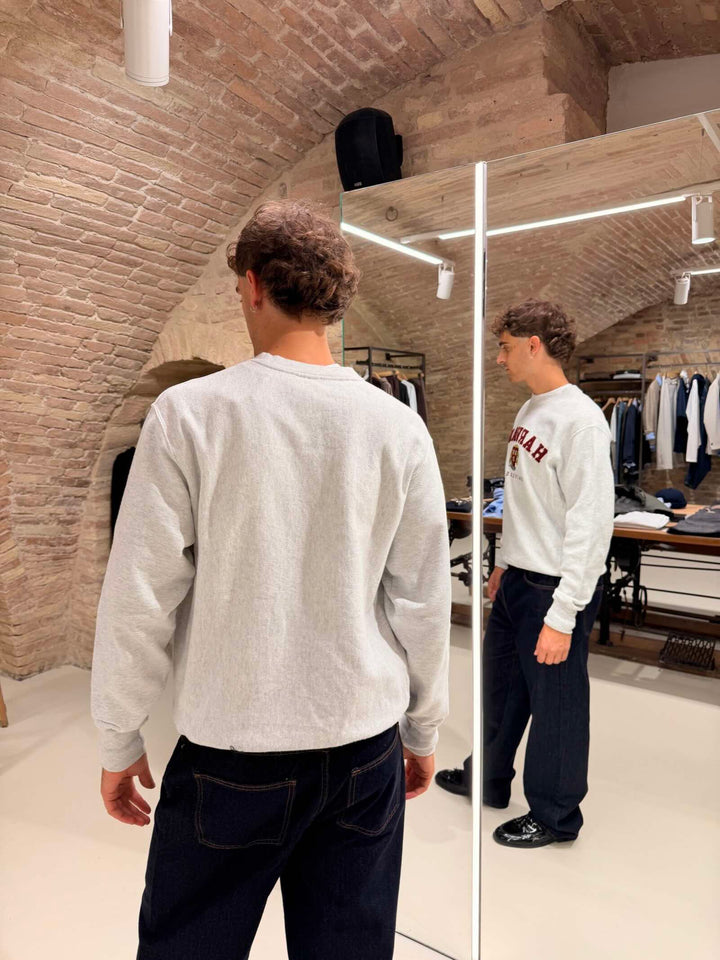 Felpa Harvard grigio melange 